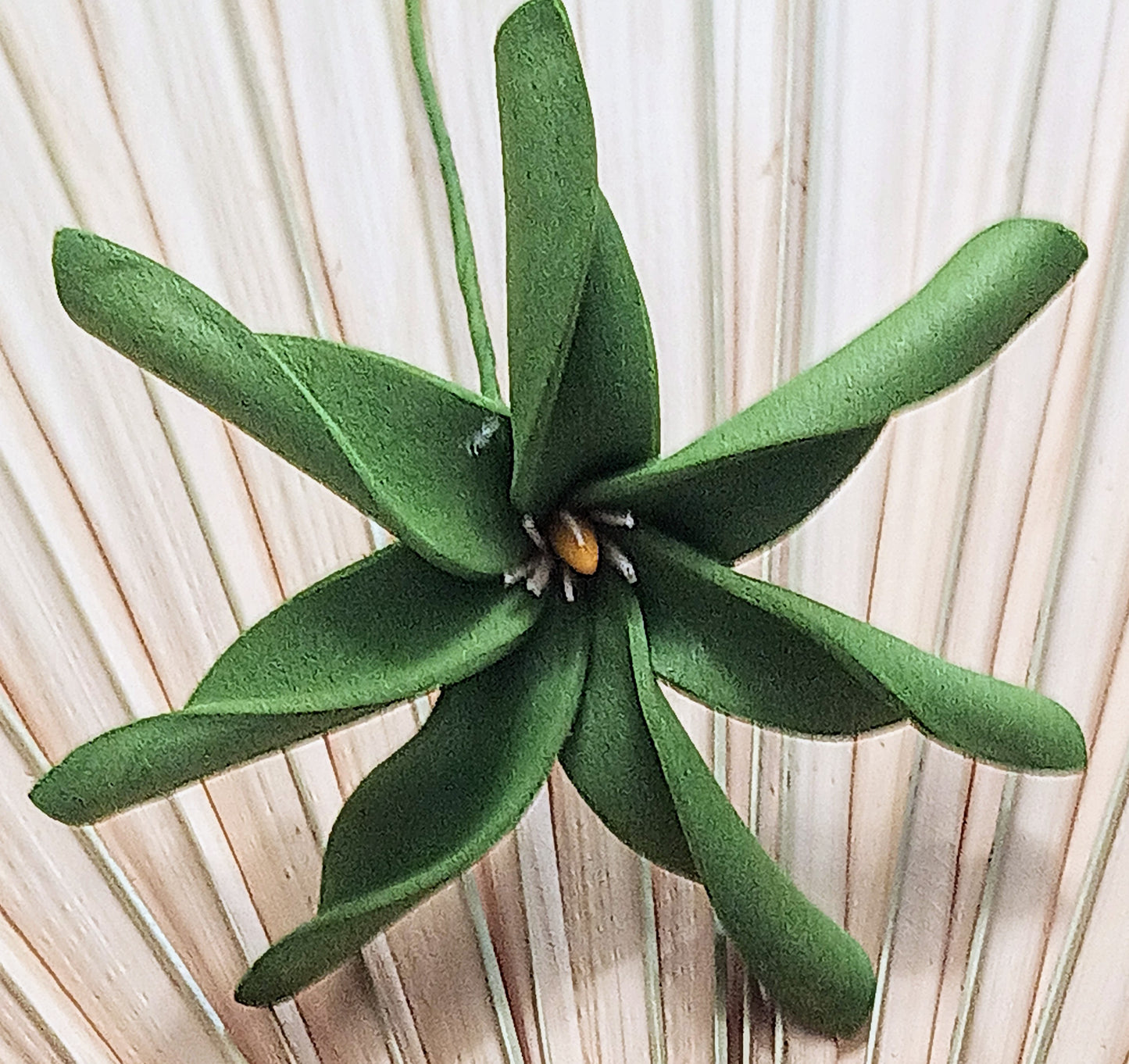 Tiare Sei - Olive Green