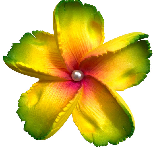LELEI Plumeria Flower w/ Cream Pearl - Reggae