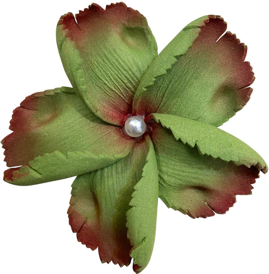 LELEI Plumeria Flower w/ Cream Pearl - Brown/Green