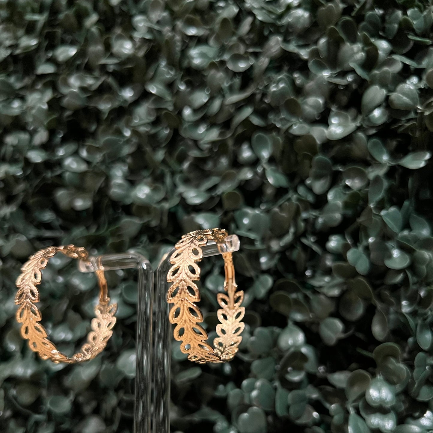Maile Leaf Hoop Earrings - Gold