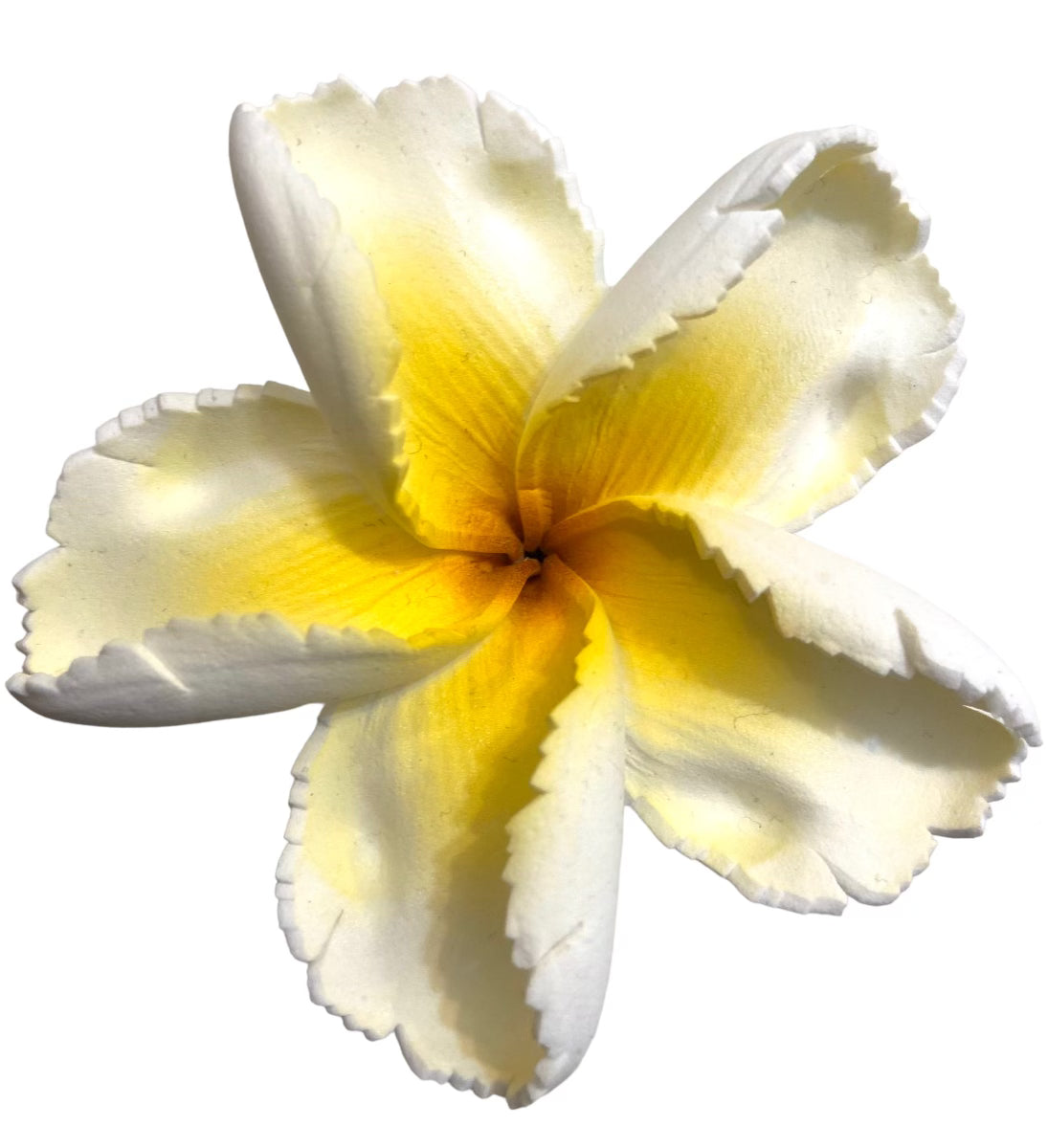 LELEI Plumeria Flower - White/Yellow