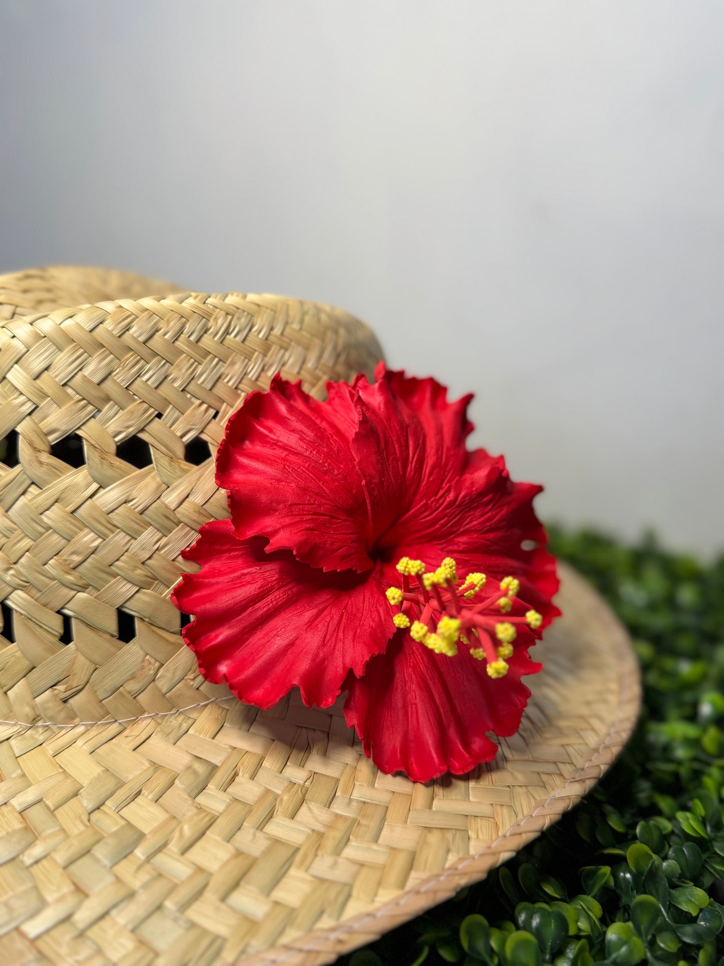 Hibiscus Sei - Ruby Red