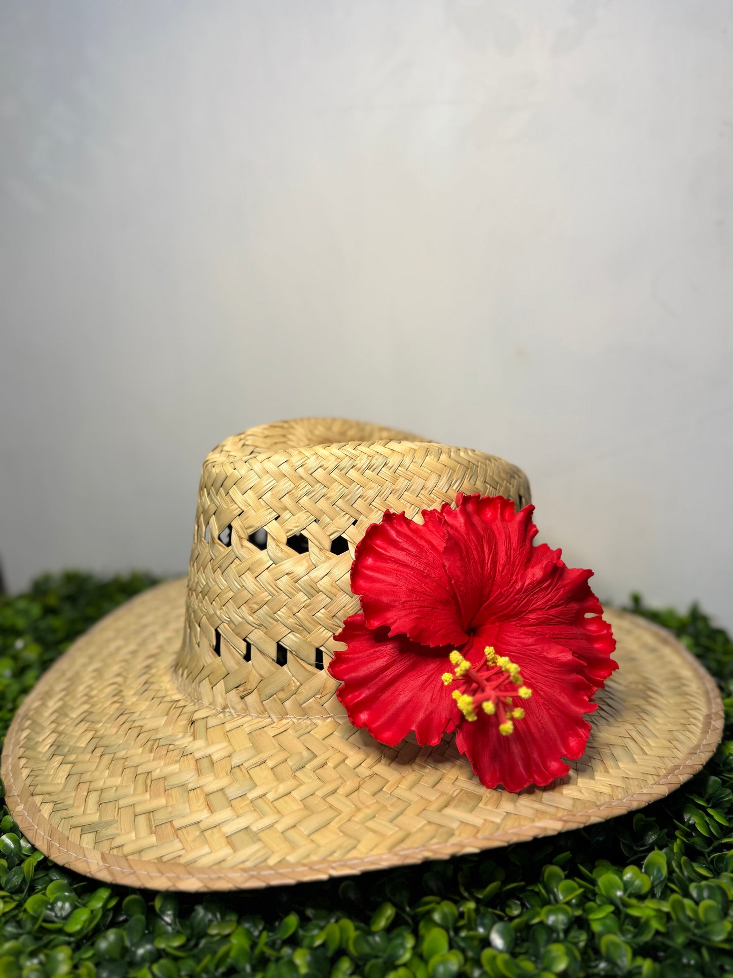 Hibiscus Sei - Ruby Red