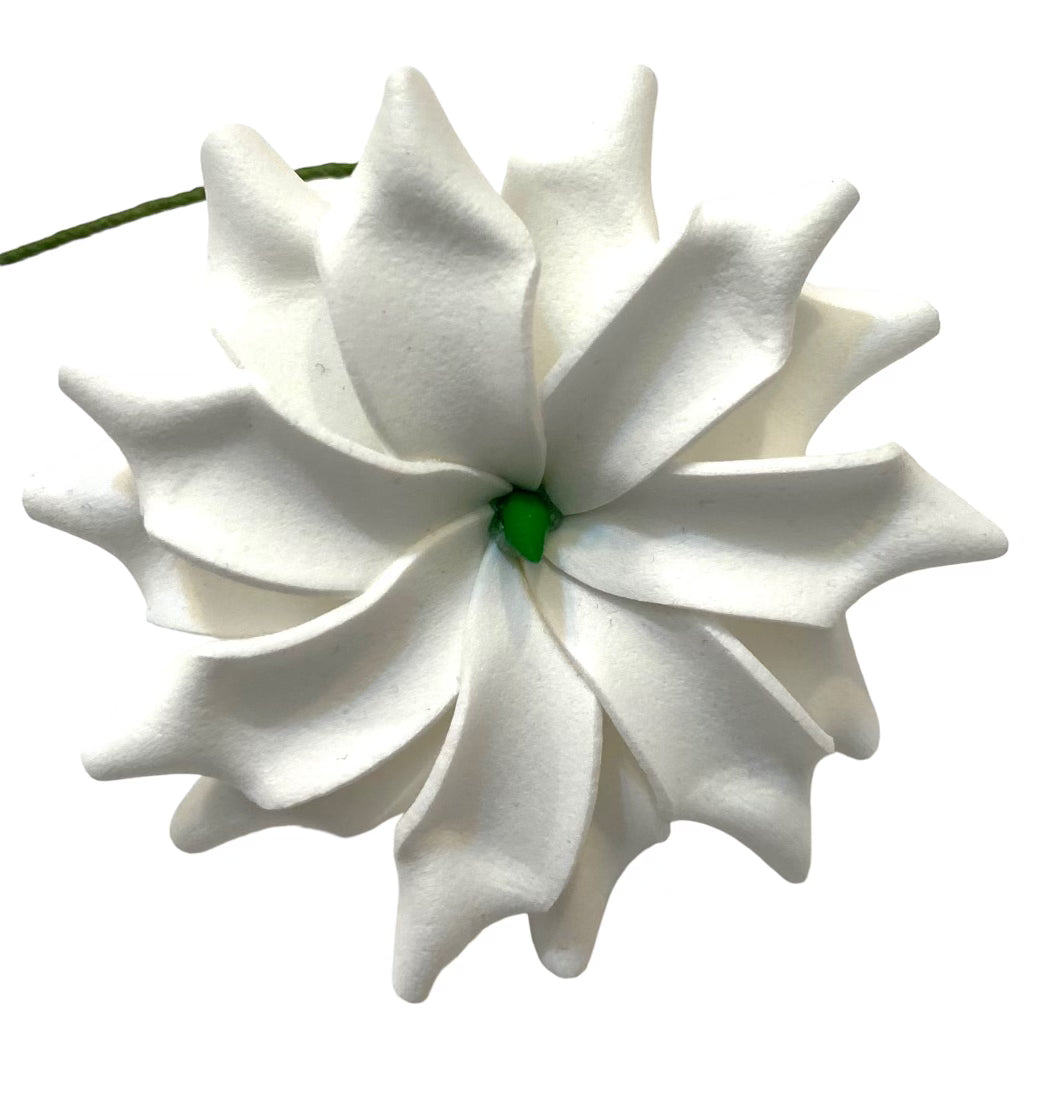 Double Tiare Flower - White
