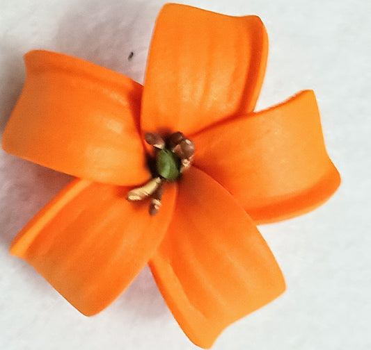 Pua Kenikeni Flower - Orange