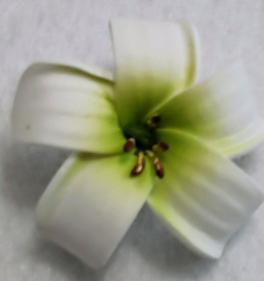 Pua Kenikeni Flower - White/Lime